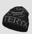 Arcteryx Bird Word Toque 2025