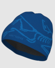 Arcteryx Bird Word Toque 2025