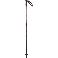 Salomon Mtn Junior Ski Poles Kids 2025