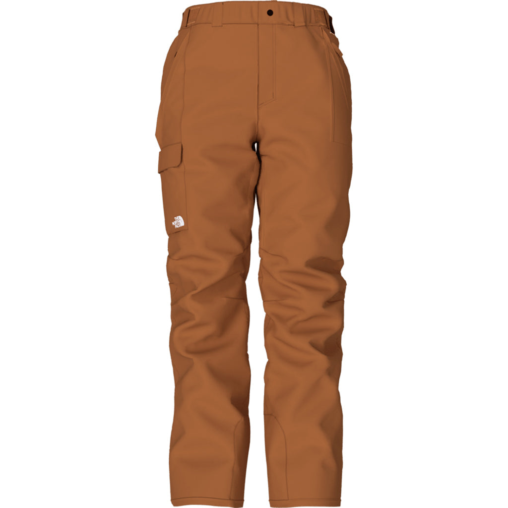 THE NORTH FACE Men's Freedom Stretch Pant - Short